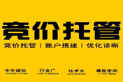 SEM广告投放中的数据监控与调整策略——以某品牌营销案例为例